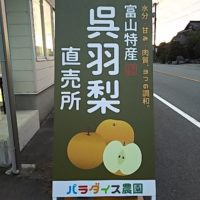 パラダイス農園 サムネイル