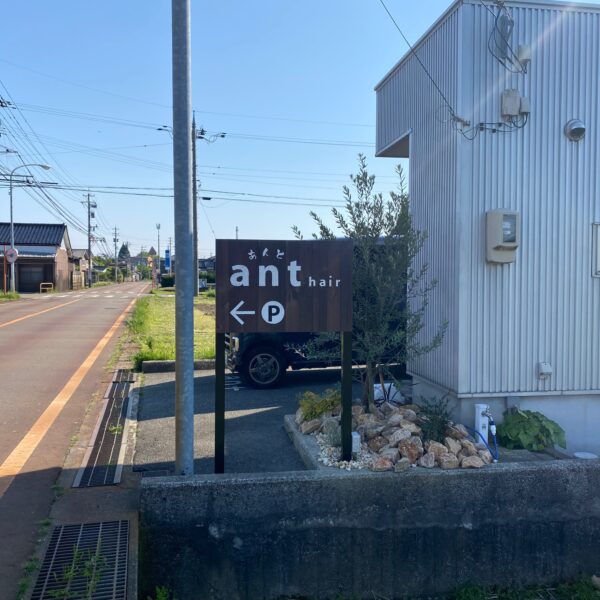 ant hair サムネイル