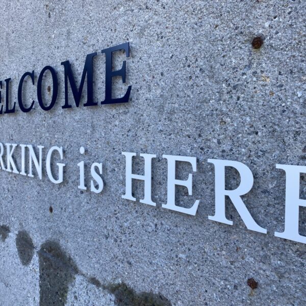 SEIEI  GROUP サムネイル